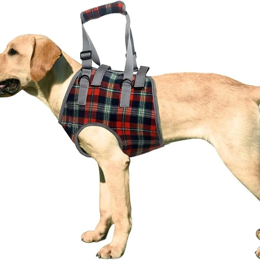 Dog Lift Harness, Grid Pet Chest Support Aid Veterinarian Approved